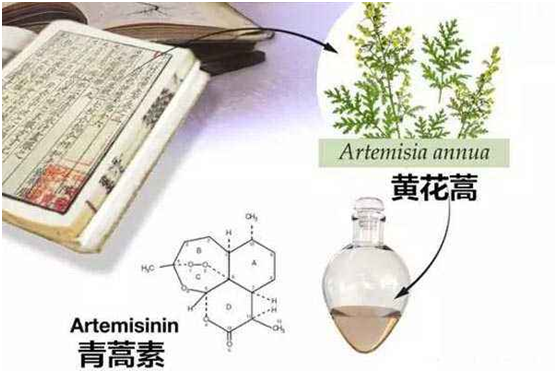 千亿平台,千亿（中国）：向中医药看齐，与世界共享中医药文化(图1)